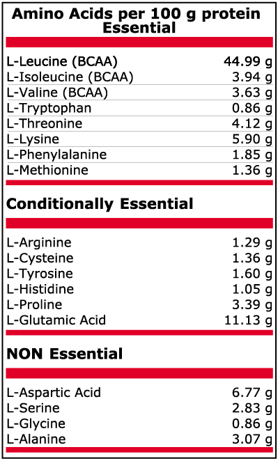 Pure Nutrition - AMINO 2000 МГ + LEUCINE - 300 Tаблетки